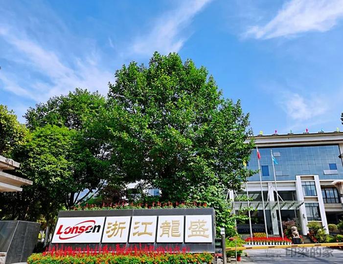 染料龙头浙江龙盛80亿入局和利时私有化，和利时这一年状况频出