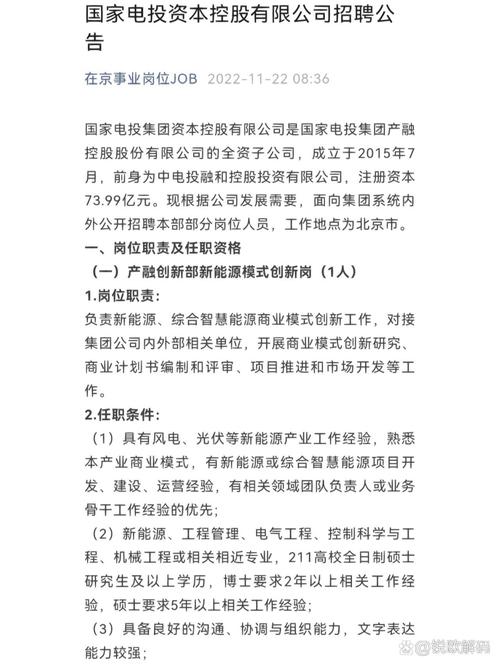 国家电投集团资产管理有限公司公开招聘副总经理岗位公告(图2)