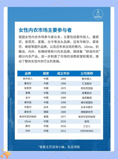 网络销售计划书：内衣类目市场潜力与戴丝玉产品分析？