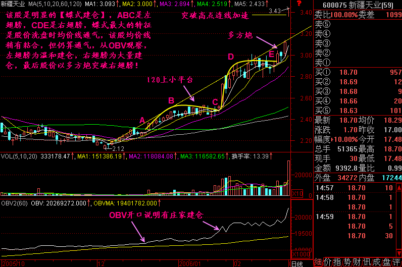 大道至简抓重点勿面面俱到，蝶式建仓图形有何特征？(图3)