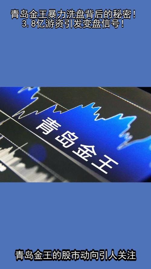 青岛金王：002094 非公开发行限售股份 12 月 4 日上市流通(图2)