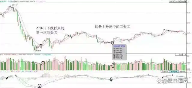 股票交易这场考试，学霸为何不一定得高分？实验结果惊人(图32)