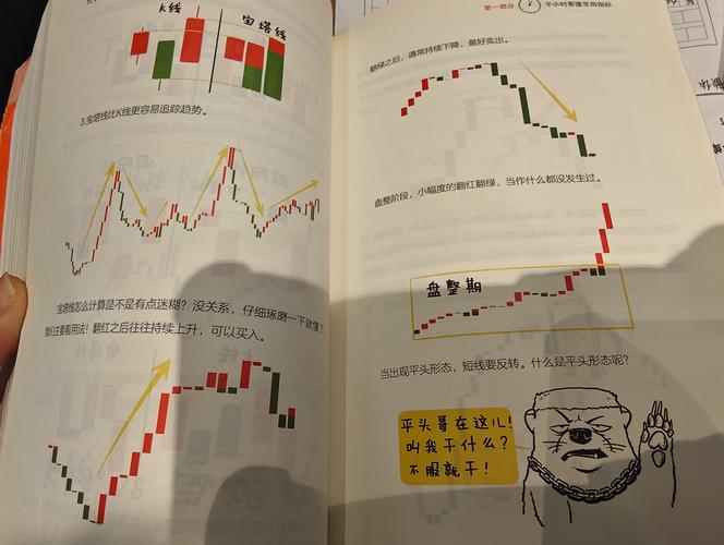 炒股的智慧：归纳股市获利方法，洞悉主力操控与心态培养(图2)