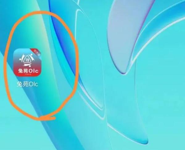 青海杨女士陷网络赚钱圈套，初尝甜头后损失惨重(图4)