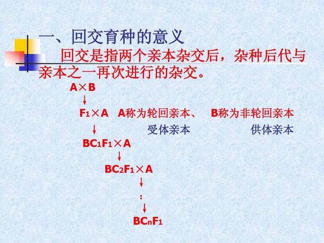 常用的杂交方式有哪些？成对杂交、复合杂交、回交介绍