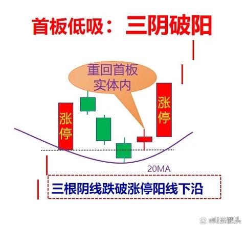 康华生物属全网上发行股票至少 40 个板！全网发行股票知识大