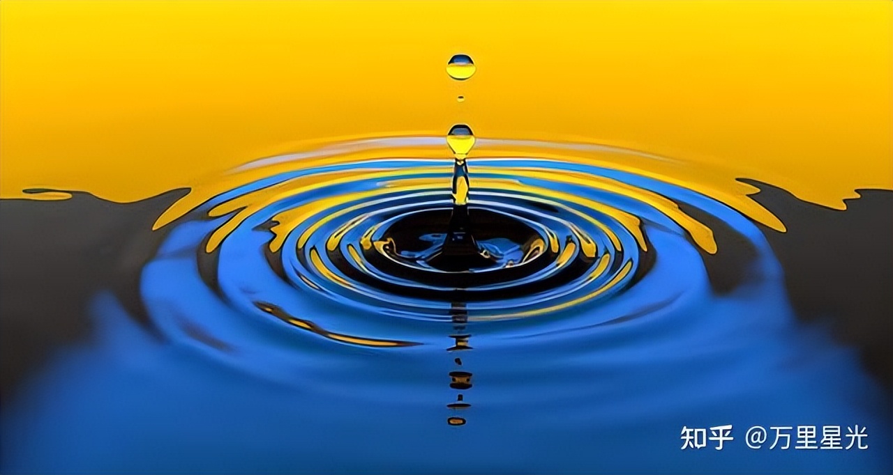 股票 现量 顶级交易员智慧：顺势而为，系统纪律与盘感修炼——投资哲学全解析(图2)