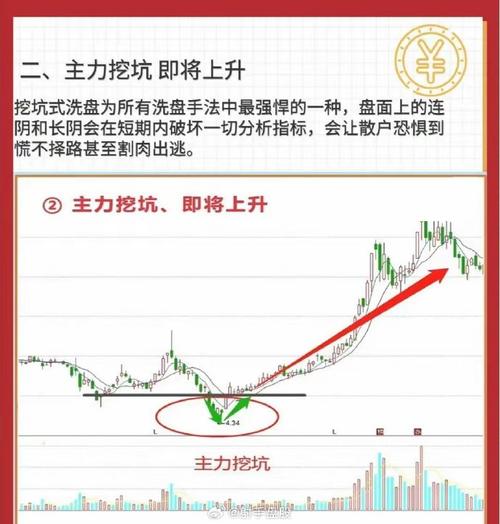 伟星新材股票咋看？淑芬阿姨带你分析，散户速来(图1)