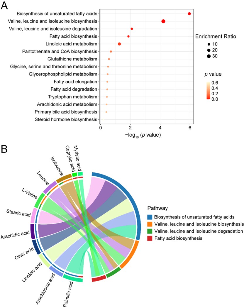 动物科学团队揭示奶牛泌乳性状机制，聚焦泌乳曲线关键期(图4)