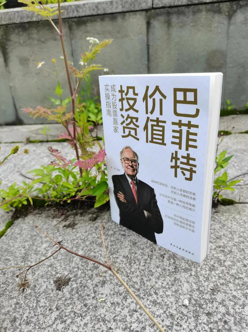 普通人超越巴菲特年化收益率的炒股秘籍：巧用基金投资(图3)