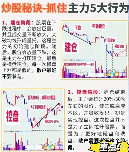 博通股份股票资金主力持仓分析及公司简介，附股价区间