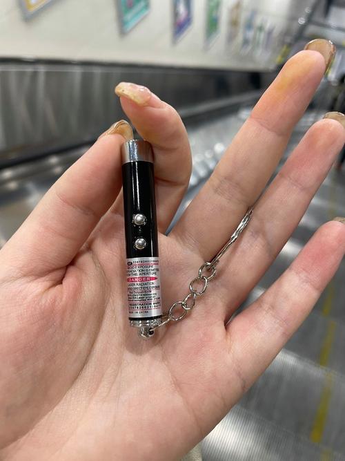 白手起家能做的赚钱生意：激光笔、充电器、按摩器及家庭小菜园(图2)