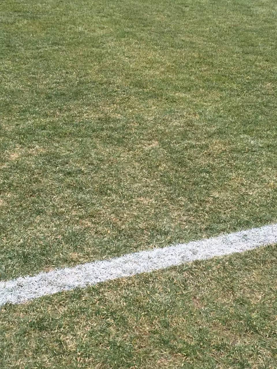 泰达主场比赛明日打响！球迷用品店啥样？投资要多少？(图2)