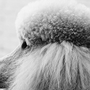 小赢卡贷是骗局吗？律师提醒：先查平台资质防套路贷(图17)