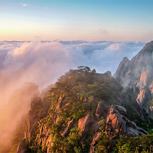 小赢卡贷是骗局吗？律师提醒：先查平台资质防套路贷(图4)