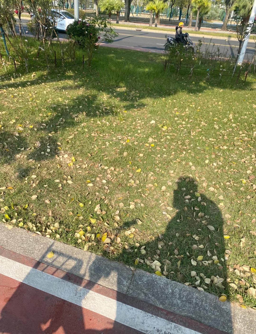 赚钱秘籍大公开：多种途径助你致富，含高风险的加密货币投资(图3)