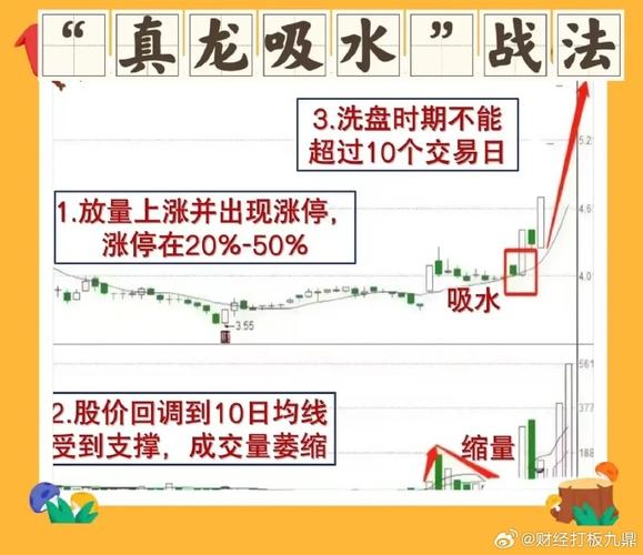炒股10年赚470万，靠这份阴线低吸秘籍，炒股必读pdf下载(图2)