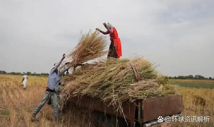 中加油菜籽贸易中断，菜粕市场受影响，行情判断难度增大(图2)