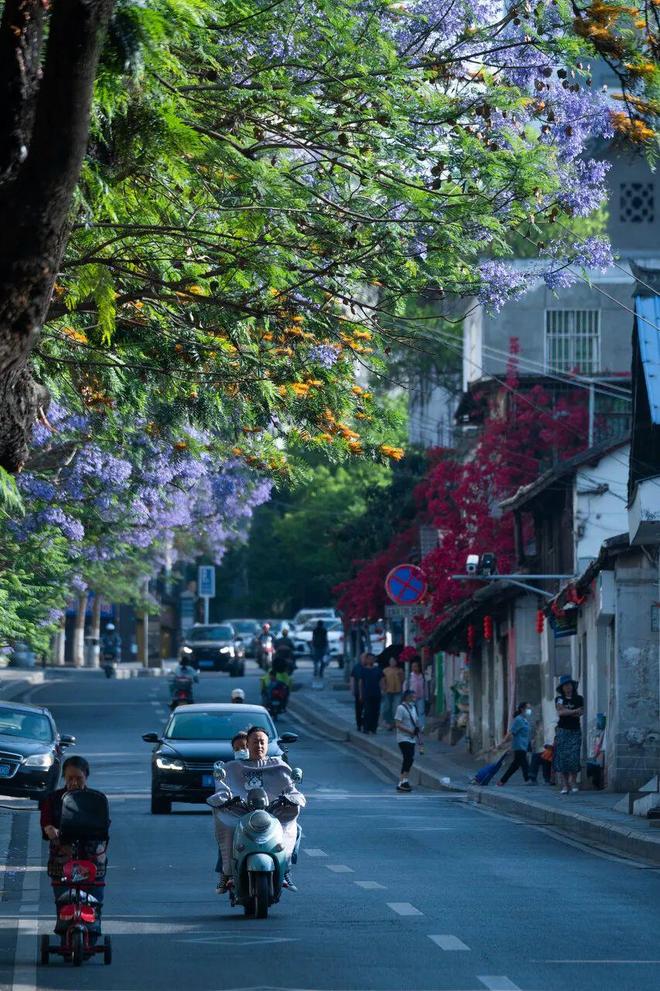 中国夏季最凉爽的10座城市，人少风景优美，宁静。你去过哪些地方？
