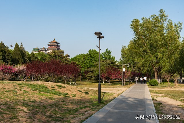 历年分红情况及10万本金按不同价位买入的分红测算(图3)