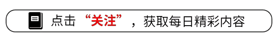 别再被红绿柱骗了！看懂量价关系，月成交量才是关键